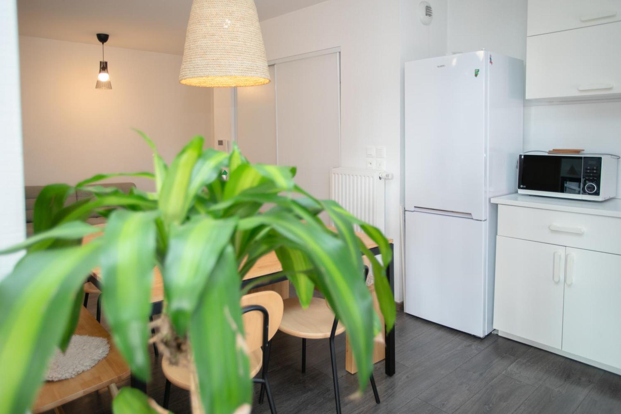 Appartement Moderne Au Centre Straatsburg